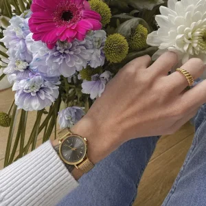 Cluse Ladies Cluse Watches | 28mm Boho Chic Petite Yellow Gold and Grey Colour Bracelet Watch