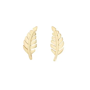 Jack Murphy Jewellers Jmj Gold Jewellery | 9ct Yellow Gold Leaf Stud Earrings
