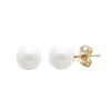 Jack Murphy Jewellers Jmj Gold Jewellery | 9ct Yellow Gold 6.5mm Cultured River Pearl Earrings
