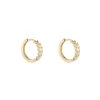 Jack Murphy Jewellers Jmj Gold Jewellery | 9ct Yellow Gold 10mm Laurel Leaf Hoop Earrings