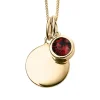 Jack Murphy Jewellers Jmj Birthstone Jewellery | January Yellow Gold Plate Crystal Birthstone Personalising Necklace