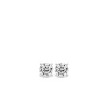 Ti Sento - Milano All Jmj & Branded Fashion Jewellery | Earrings 7321ZI
